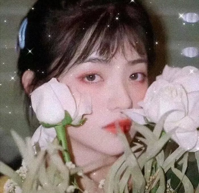 世界的角落是晚餐